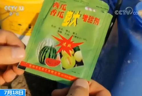 瓜农今日吃瓜app,揭秘瓜农生活，共享欢乐时光