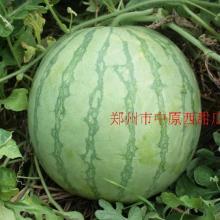 能吃热门瓜的地方叫什么,揭秘那些能吃热门瓜的地方