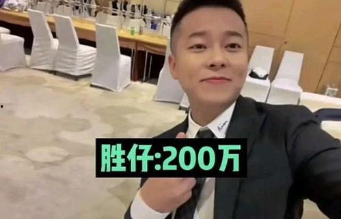 成都网红明星网红名单,揭秘蓉城网络红人圈