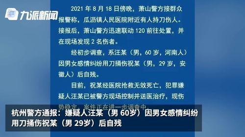 瓜沥镇命案今日,悲剧背后的人性拷问