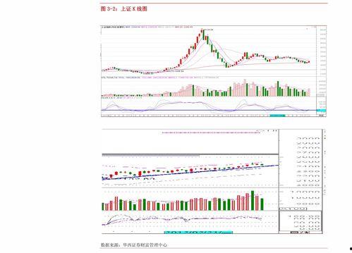 乐亭今日瓜价行情,新鲜瓜果价格走俏，市民抢购热潮涌动