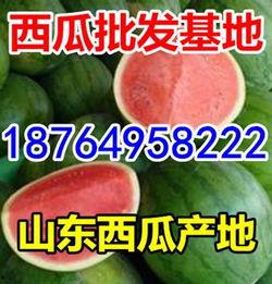 瓜今日市场价,今日瓜果价格一览，新鲜资讯速递”