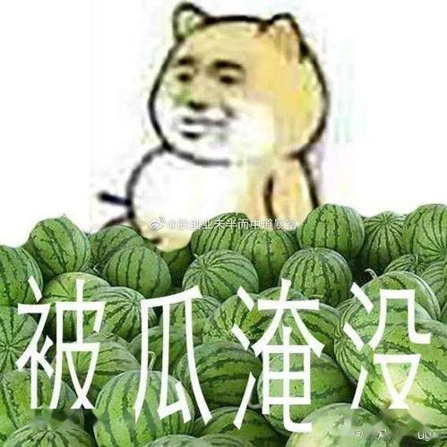 黑瓜吃料最新消息今天,揭秘今日热点事件！”