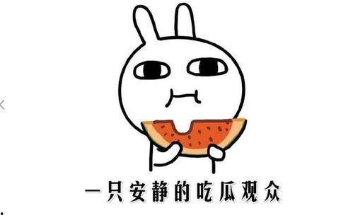 今年热门吃瓜事件有哪些,揭秘娱乐圈、社会热点背后的真相