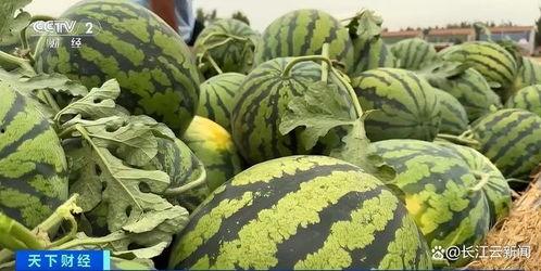 专门热门吃瓜的网站推荐,盘点全网最热话题，带你畅游吃瓜盛宴