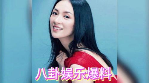 黄瓜娱乐圈爆料吃瓜明星,娱乐圈黄瓜爆料，明星吃瓜大揭秘