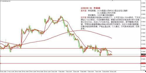 今日白瓜行情走势,今日波动解析与趋势展望