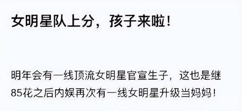 吃瓜热门口号是什么,揭秘娱乐圈最新热点事件