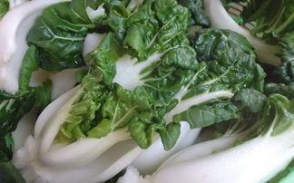 今日蒲瓜菜价行情,涨跌互现，市场供需动态解析