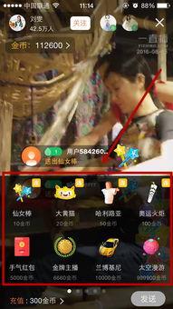 接触明星网红怎么赚钱,揭秘如何轻松赚钱
