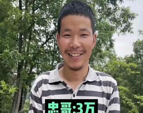 捐赠甘肃的明星网红,明星网红助力乡村振兴