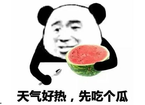 吃瓜热门口号大全霸气,揭秘热门口号背后的风云变幻