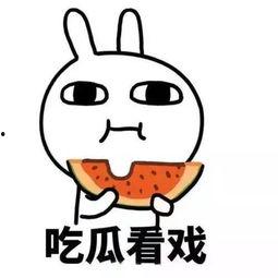 吃瓜热门口号大全霸气,揭秘热门口号背后的风云变幻