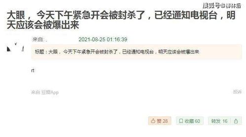 看明星吃瓜爆料文件犯法吗,法律边界与道德考量