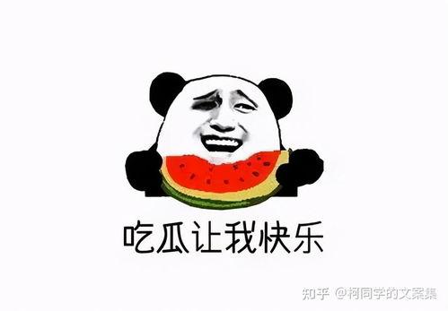 吃瓜搞笑图文案热门,笑料横生！吃瓜群众解锁搞笑图文案新姿势