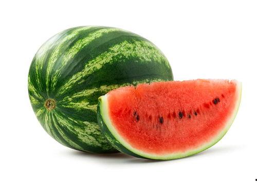 小乳瓜今日价格,市场行情一览”
