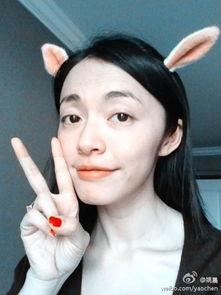 浙江有明星网红吗,璀璨星光下的网络新势力
