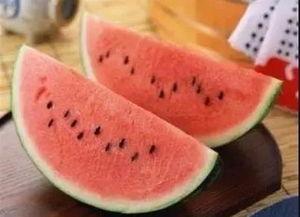 上热门西瓜南瓜哈密瓜
