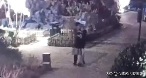 沧州吃瓜爆料事件视频曝光,视频曝光事件真相揭秘