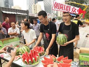 北京朝阳今日吃瓜,今日吃瓜指南，揭秘热点事件背后的真相