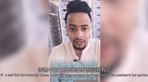 吃瓜有理爆料无罪回家的路,揭秘网络舆论背后的真相