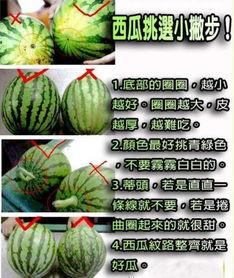 吃瓜爆料配乐叫什么名字,吃瓜爆料热潮来袭！揭秘热门配乐背后的故事