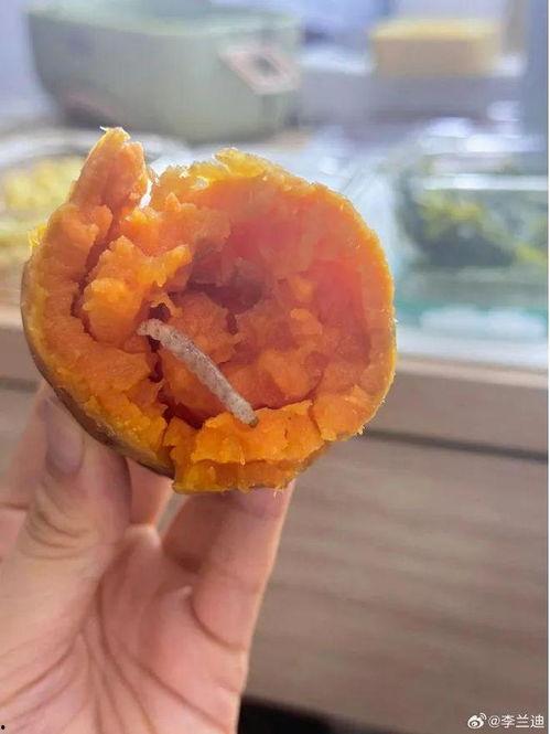 今日份有什么瓜,揭秘娱乐圈最新瓜料，精彩纷呈等你来探