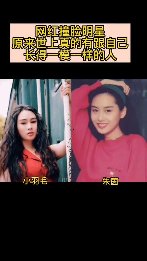 撞脸明星网红文案,揭秘网络红人界的神秘“双胞胎”现象