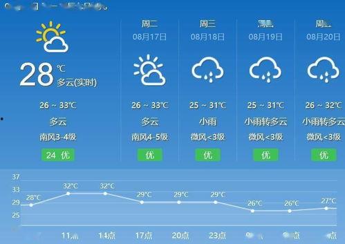 小瓜的热门歌曲有哪些,旋律动人，回忆满满