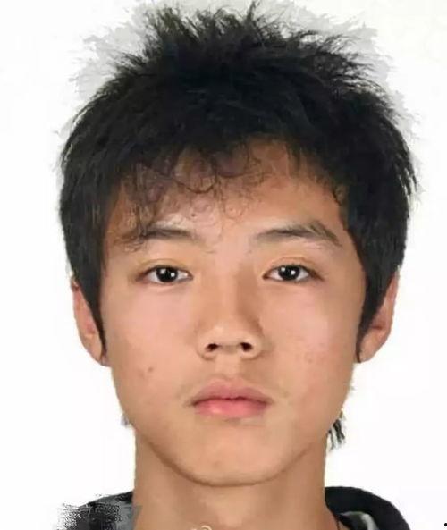 东北男明星网红出身,逆袭之路的璀璨星光