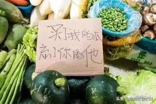 今日份卖瓜文案,新鲜资讯一网打尽！