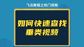 飞瓜数据热门素材怎么用,高效内容创作指南