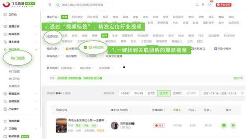 飞瓜数据热门素材怎么用,高效内容创作指南