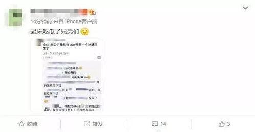 吃瓜群众最新爆料网站大全,吃瓜群众最新爆料网站大全，一网打尽热门资讯！