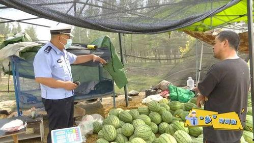 红薯哥热门韩城吃瓜群众,揭秘热门话题背后的真相