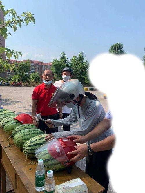 潮州今日吃瓜事件,一场网络热议背后的真相揭秘
