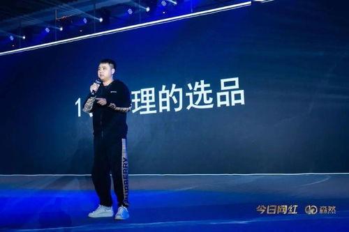 愿景娱乐明星网红,愿景娱乐打造明星网红新纪元