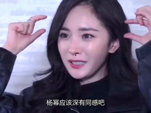 现实明星网红有哪些,揭秘当下热门明星网红风采
