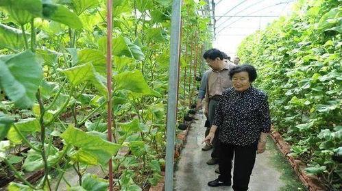 元梦吃瓜爆料是真的吗,真相揭秘，是真是假？
