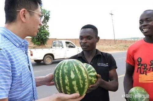 双反差黑料吃瓜正能量,吃瓜群众见证正能量崛起