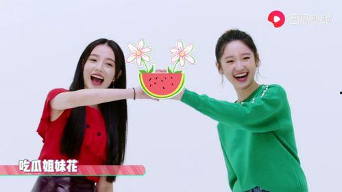 宣仪吃瓜爆料视频大全最新,揭秘娱乐圈幕后真相