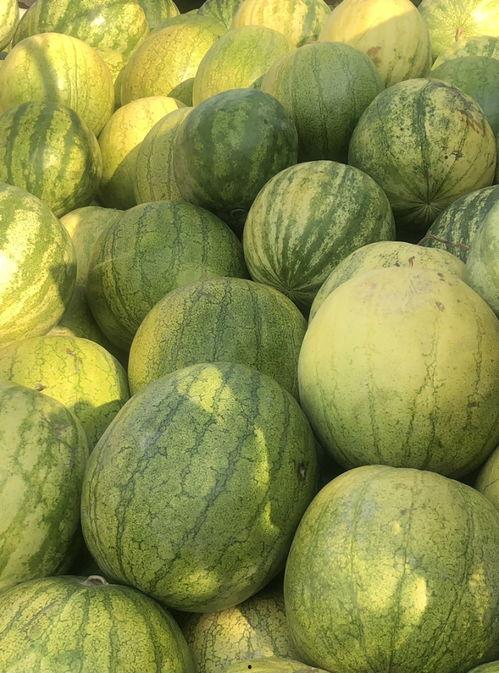 51热门黑料吃瓜爆料免费大全,揭秘娱乐圈吃瓜爆料免费大全