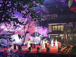 明星网红齐聚现场视频,精彩瞬间大盘点”