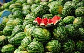 西宁吃瓜热门事件真相,真相与误解的交织