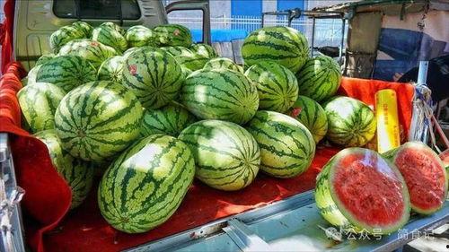 西宁吃瓜热门事件真相,真相与误解的交织