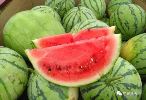 155fun今日吃瓜热门,盘点娱乐圈最新热点事件