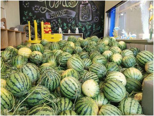 155fun今日吃瓜热门,盘点娱乐圈最新热点事件