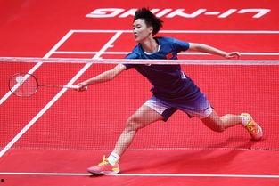 明星网红看奥运比赛,明星网红共赏精彩瞬间