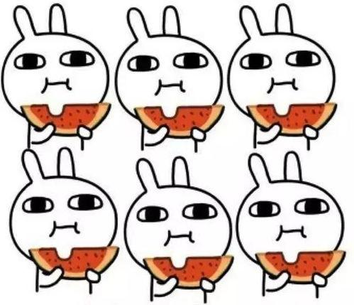 fun热门吃瓜喵小吉,揭秘娱乐圈幕后趣闻