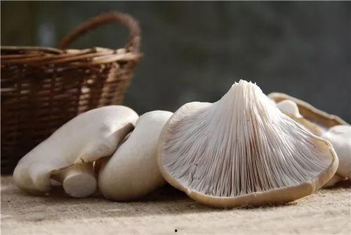 蘑菇视频爆料黑料吃瓜51,揭秘黑料吃瓜51背后的真相